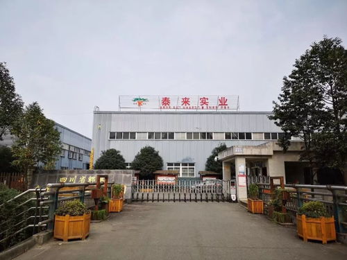 專訪泰來木業陳總 憶崢嶸歲月稠,看今朝重任在肩頭